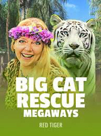 Big-Cat-Rescue-Megaways icon